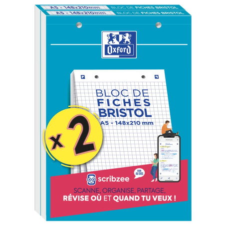 Lot de 2 BLOCS BRISTOL OXFORD PERFORES 148X210 30 FICHES 210G Q5/5