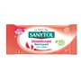 Sanytol Désinfectant Multi Usages Pamplemousse et Citronnelle 72 Lingettes
