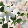 Maison Berger - Recharge Lampe Berger Jasmin Précieux - Prête à l'emploi - Parfume et Purifie - Diffusion Fine, Homogène et Long