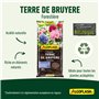 Algoflash Terre de Bruyère Forestière, Utilisable en Agriculture Biologique - 40 L, Marron