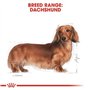 5 kg | Aliment complet pour chiens | Spécialement conçu pour les teckels adultes et âgés | Peut