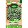 Vilmorin - Thym de Provence Bio - Plante aromatique bisannuel - incourtournable de la Cuisine méridionale -