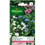 Vilmorin 5380541 Myosotis Multicolore 9 x 0.5 x 16 cm