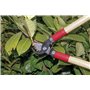 GREENGERS - Sécateurs et ciseaux de jardinage, Ébrancheurs de jardinage - Coupe branches avec lame à coupe franche manche bois 5