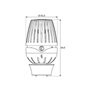 GIACOMINI Tête de radiateur thermostatique avec capteur de liquide R460X001