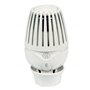GIACOMINI Tête de radiateur thermostatique avec capteur de liquide R460X001