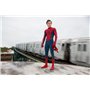 Spider-Man: Homecoming [DVD + Digital UltraViolet]