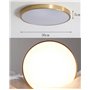 LED Plafonnier Doré Rond Panneau Intérieur Lampe De Plafond Chambre Moderne Dimmable avec Télécommande Ultra Mince Pour Couloir