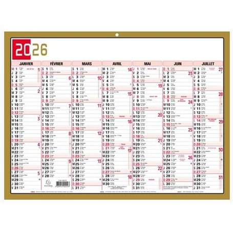 Exacompta - 34382E - Calendrier Mural - Thème Tricolore - 6 mois par face - Dimension 29