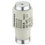 SIEMENS Lot de 5 fusibles DIAZED 500 V E33 63 A