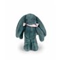 DOUDOU ET COMPAGNIE - Lapin Fleurette Eucalyptus 25 cm – Peluche Bébé Ultra Douce avec Foulard Fleuri – Doudou Naissance Mixte –