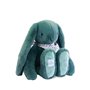 DOUDOU ET COMPAGNIE – Lapin Fleurette Eucalyptus 50 cm – Peluche Verte Ultra Douce – Doudou Bébé Naissance – Foulard Fleuri – La
