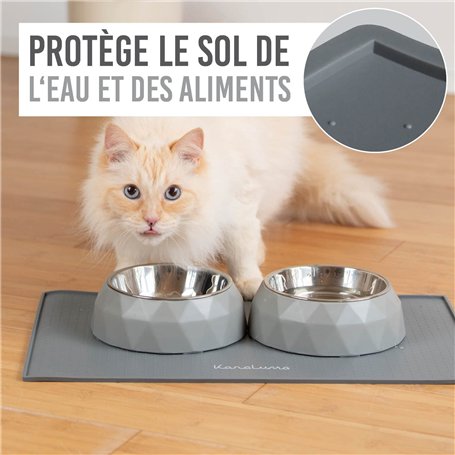 PACK Jeux de lumière Sono DJ LIGHT 2 EFFETS DERBY Noir 4 LEDs RGBW