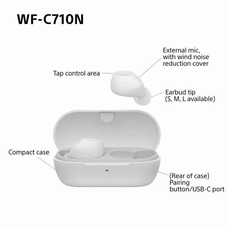 PARENCE.- Fouet Batteur à Œufs 24,5 cm – Ustensile Cuisine Inox avec Manche en Bois Naturel – Mélange Manuel pour Pâtisserie, Cr