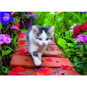 cyclingcolors 5x coussinet entretoise cylindrique plastique nylon vis rondelle palier lisse roulement précision isolation