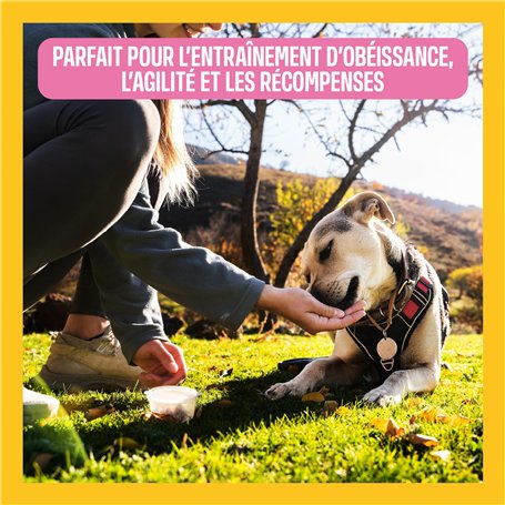 Bouchon de Vase d’Expansion Bocal Liquide Refroidissement compatible pour Captur Clio Espace Kangoo Laguna Master Megane Scenic