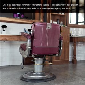 Les Souvenirs du Futur