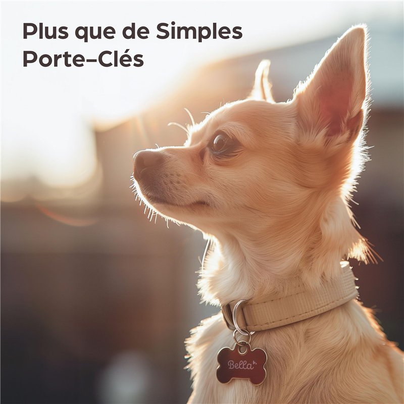 Les Chevaliers de Baphomet - L'Ombre des Templiers : Reforged - Jeu Xbox Series X