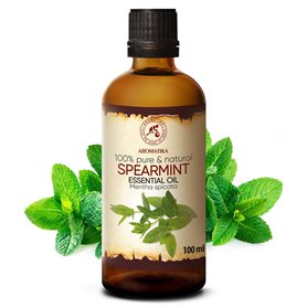 Lissante et Antistatique | Manche en Bois Naturel | Soin et Ent