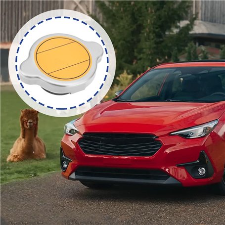 COCOSOLIS Crème solaire SPF 50 hydratante et protection solaire pour tous les types de peau, aux huiles bio | Protection solaire