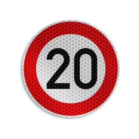 Rayher Bouquet de fleurs séchées naturelles