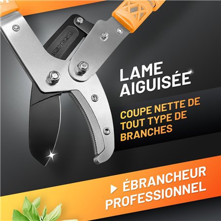 Hama Trépied Appareil Photo 2 en 1 Ramble II Duo (Plaque de Montage Rapide pour Portable, Ultraléger en Carbone, Macrophoto, Mon