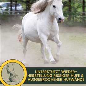 Mahle Original 033 16 N0 Segments de pistons