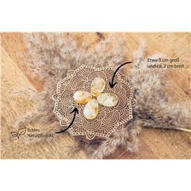 Hansa 5020002 Support pour téléphone sur bras articulé TSA (Gris clair) (Import Allemagne)