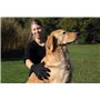 TRIXIE Gant de soin du pelage pour chiens - stimule la circulation sanguine - élimine les poils détachés - également pour les an