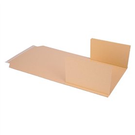 Dungeons & Dragons Dark Alliance Steelbook Edition (PS4)