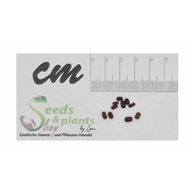 jeu de pinces pour embouts