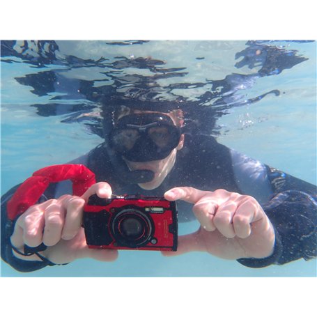 Stabilus Vérin à gaz LIFT-O-MAT® Amortisseur hydraulique avec 100 Newton / 10 kg force d'éjection Vérin à gaz e.a. pour meubles,