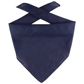 Bosch BD985 Disques de frein - certification ECE-R90 - 1 jeu de 2 disques