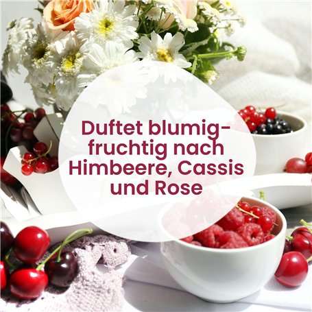 Palmer MONICON S - Contrôleur de volume passif