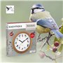 EASYmaxx Horloge murale avec chant d'oiseaux, 12 chants d'oiseaux et motifs d'oiseaux réalistes, Arrêt automatique entre 21 et 5