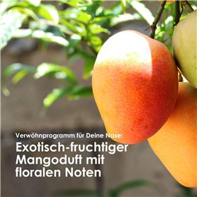 T-shirt à manches courtes femme Adidas Own The Run