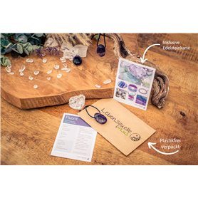 Jogging d'Entraînement de Football pour Adultes Adidas Tiro24 Training Regular Homme