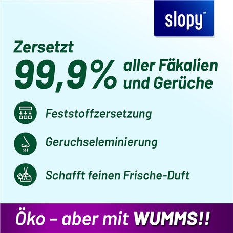 Jogging d'Entraînement de Football pour Adultes Adidas Tiro24 Training Regular Homme