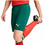 Jogging d'Entraînement de Football pour Adultes Puma Portugal Vert Olive Homme