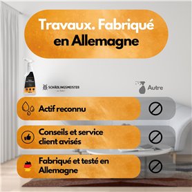 Gardena aspirateur à main d’extérieur EasyClean Li : aspirateur sur batterie pour particules humides et sèches, batterie, forte