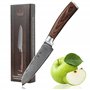 WAKOLI Edib Petit Couteau Santoku en Damas I Lame tranchante de 12 cm en acier damassé à 67 couches avec noyau VG10 et manche en