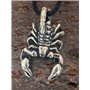 Kiss of Leather Pendentif Scorpion en argent sterling 925 N° 11