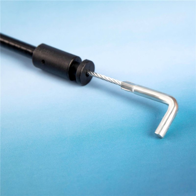 Seeds Plants Shop ID1187 Lot de 10 graines de chorizema diversifolium pour arbustes de jardin