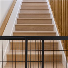 Ha-Ra Kit d'entretien complet I Soin complet concentré 500 ml & Rollfix (vide) I Nettoyant universel pour la maison