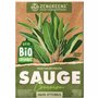ZenGreens® – Graines de sauge bio - Graines d'herbes aromatiques à cultiver facilement au jardin