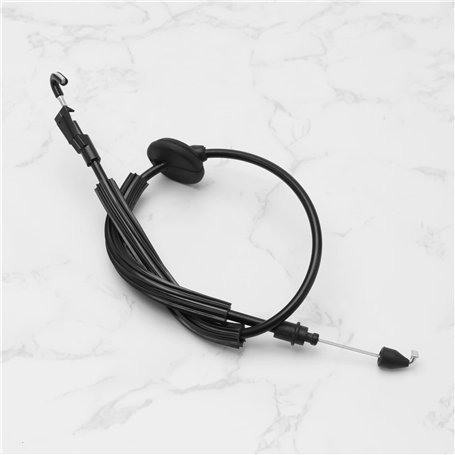 ViPiBaX Giardia Nettoyant concentré pour Chien