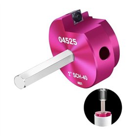 Ecocert Cosmos Natural certifié Himalaya Botanique Dentifrice Neem et Grenade aux Actifs Bio