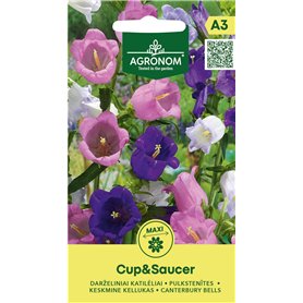 AGRONOM | Graines de Clochettes de Marie - CUP&SAUCER | Graines de fleurs | Graines de plantes | Plantes bisannuelles