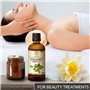Huile Essentielle de Menthe Verte 100ml - Mentha Spicata - Sauna - Soins du Corps - Massage - SPA - Diffuseur Arômes - Relaxatio