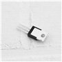 YINETTECH 10 Pièces IRLZ44N Transistors MOSFET de Niveau Logique 47A 55V Transistors MOSFET à Canal N 29x10x4.5mm Utilisés Comme